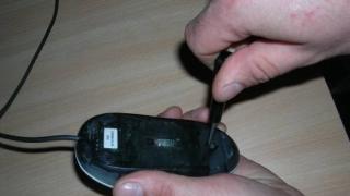 Kako očistiti miš od prljavštine - pravilna njega računalnog miša