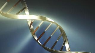 پلی مورفیسم ژنتیکی