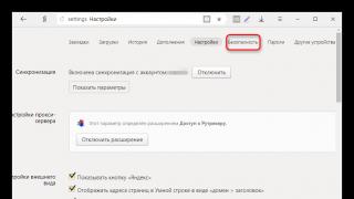 Yandex의 능동 보호 기술 보호